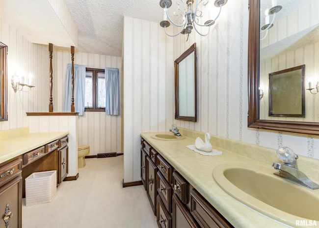 9721 234 Th St N, House other with 3 bedrooms, 2 bathrooms and null parking in Port Byron IL | Image 17
