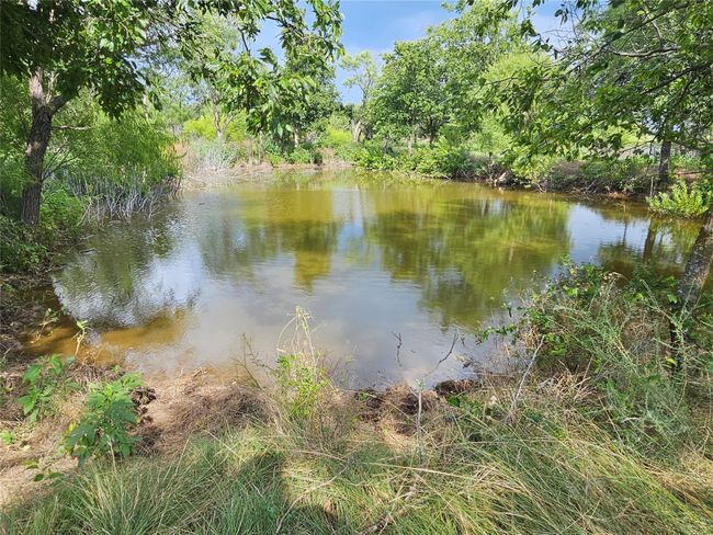 Water view | Image 12