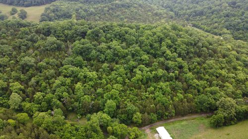 32 Patterson Ln, Pleasant Shade, TN, 37145 | Card Image