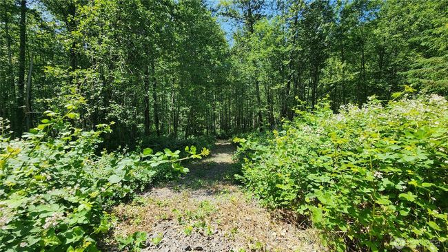 1230 Silverbrook Rd, Home with 0 bedrooms, 0 bathrooms and null parking in Randle WA | Image 12