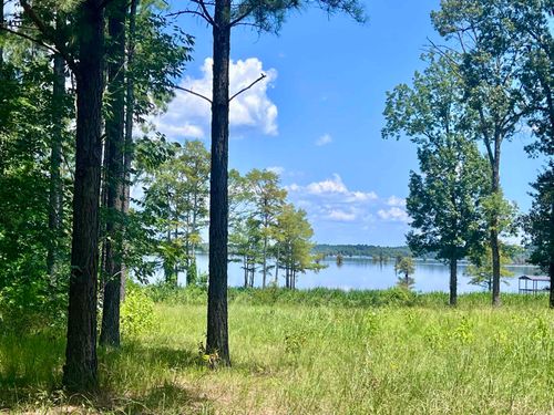 LOT 4 Eagle Brook Dr, Lewisville, AR, 71845 | Card Image