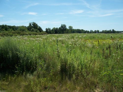 Lot B Masters Rd Road, Riley Township, MI, 48041 | Card Image