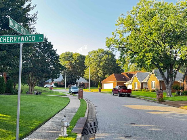 175 Walnut Ridge Ln, House other with 4 bedrooms, 3 bathrooms and null parking in Cordova TN | Image 29