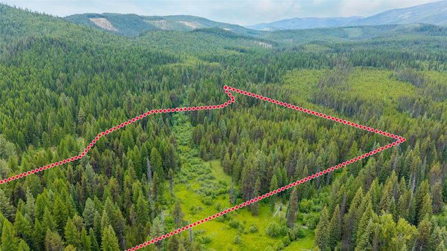 View of property location with a heavily wooded area and property boundaries highlighted | Image 10