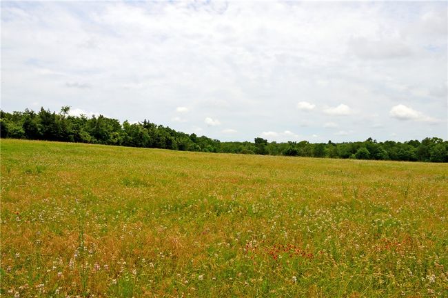 View of local wilderness featuring rural landscape | Image 12
