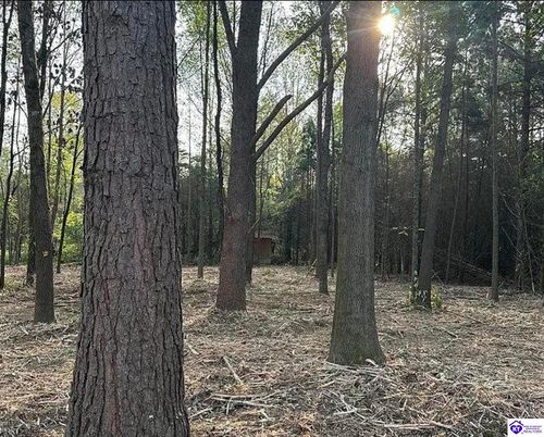 lot-2-133 Sassy Ct, Campbellsville, KY, 42718 | Card Image