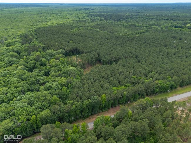 0 Highway 157, Home with 0 bedrooms, 0 bathrooms and null parking in Benton LA | Image 10