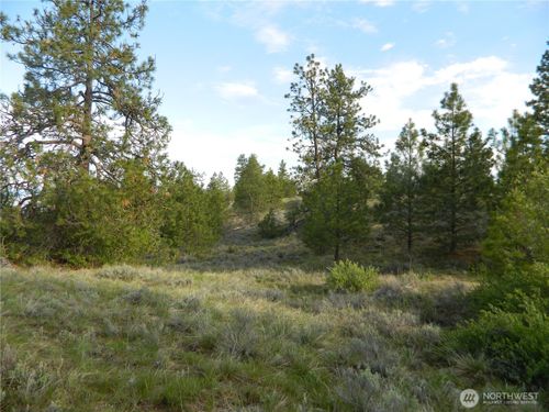 0 Rehmke Rd, Tonasket, WA, 98855 | Card Image