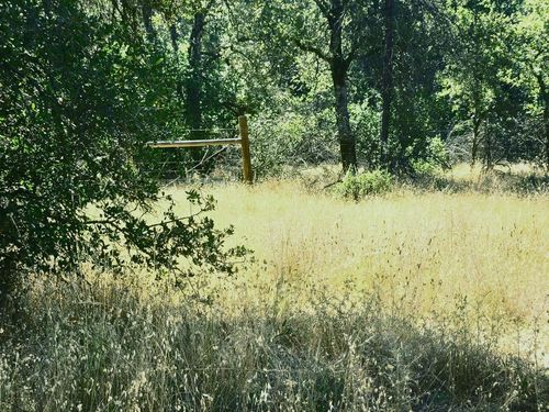 48 Rices Texas Hill Rd, Oregon House, CA, 95962 | Card Image