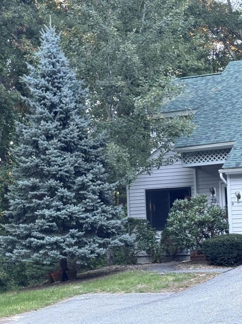39 Aspen Drive, Atkinson, NH, 03811 | Card Image