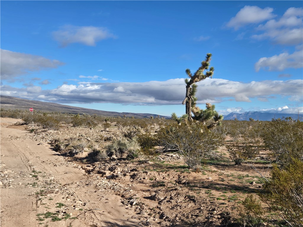 Land in Dolan Springs 5