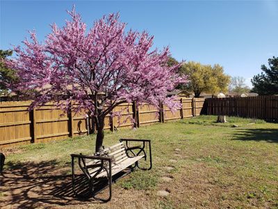 908 Ne Cambridge Drive, House other with 3 bedrooms, 2 bathrooms and null parking in Altus OK | Image 3