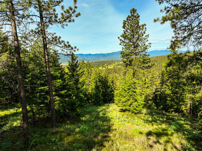 17353 Nighthawk Ln, House other with 3 bedrooms, 3 bathrooms and null parking in Frenchtown MT | Image 39