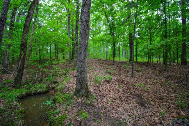 000 Fm 1794 E, Home with 0 bedrooms, 0 bathrooms and null parking in De Berry TX | Image 16