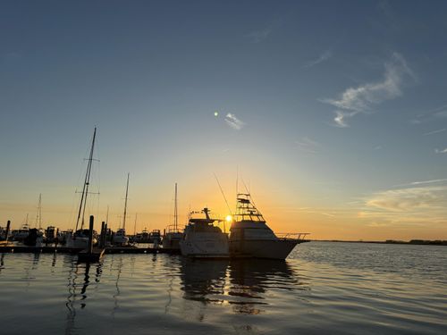 e-3-67 W 10th Street, Folly Beach, SC, 29439 | Card Image