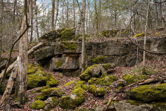 Fossil Cove Rd-63 | Image 62