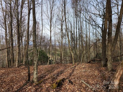 003/004 Laurel Highlands Drive, Grassy Creek, NC, 28617 | Card Image