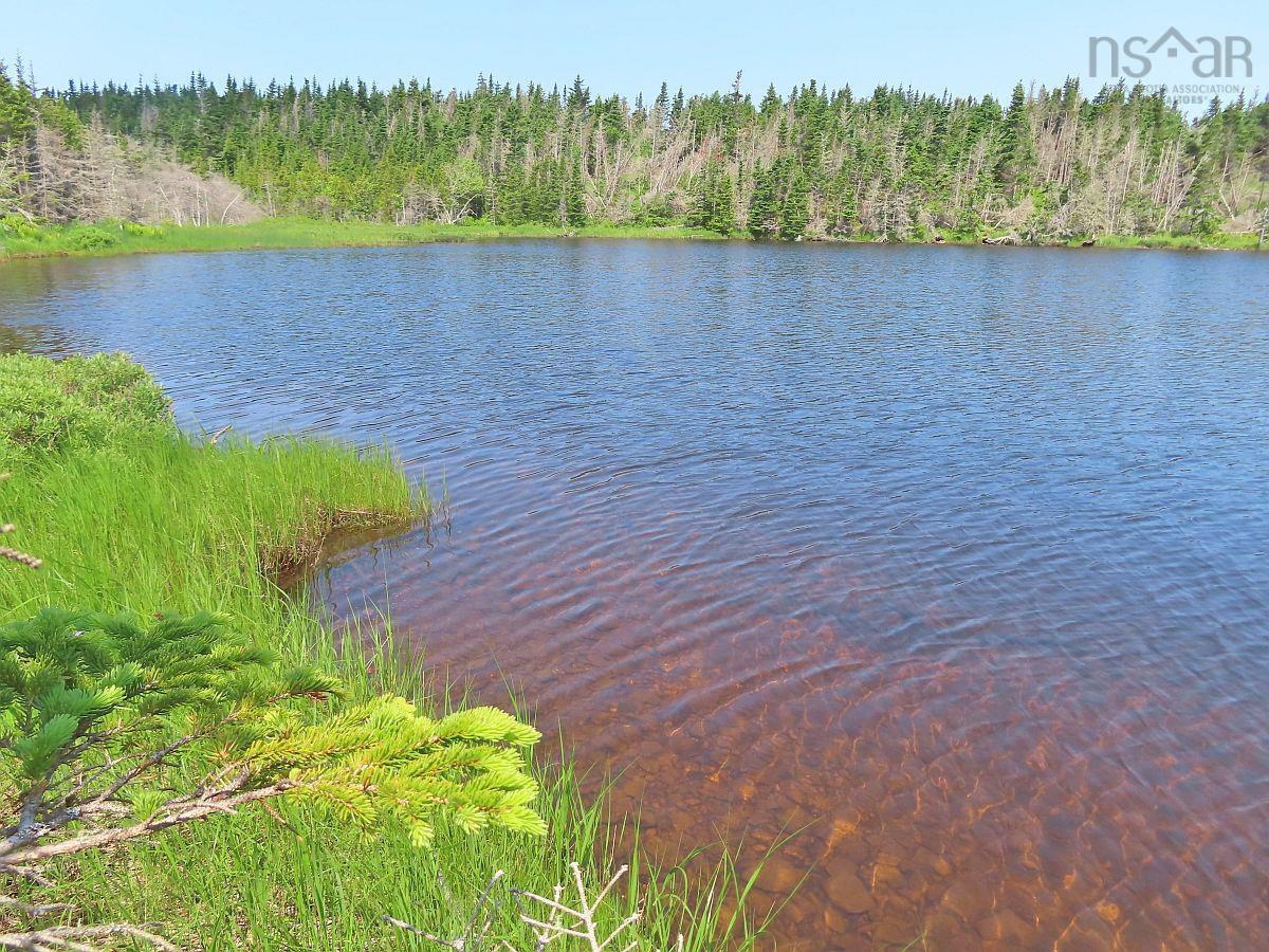 Land in Gabarus Lake 4