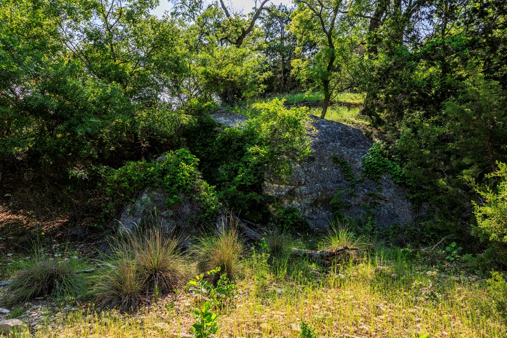 Farm in Kerrville 5