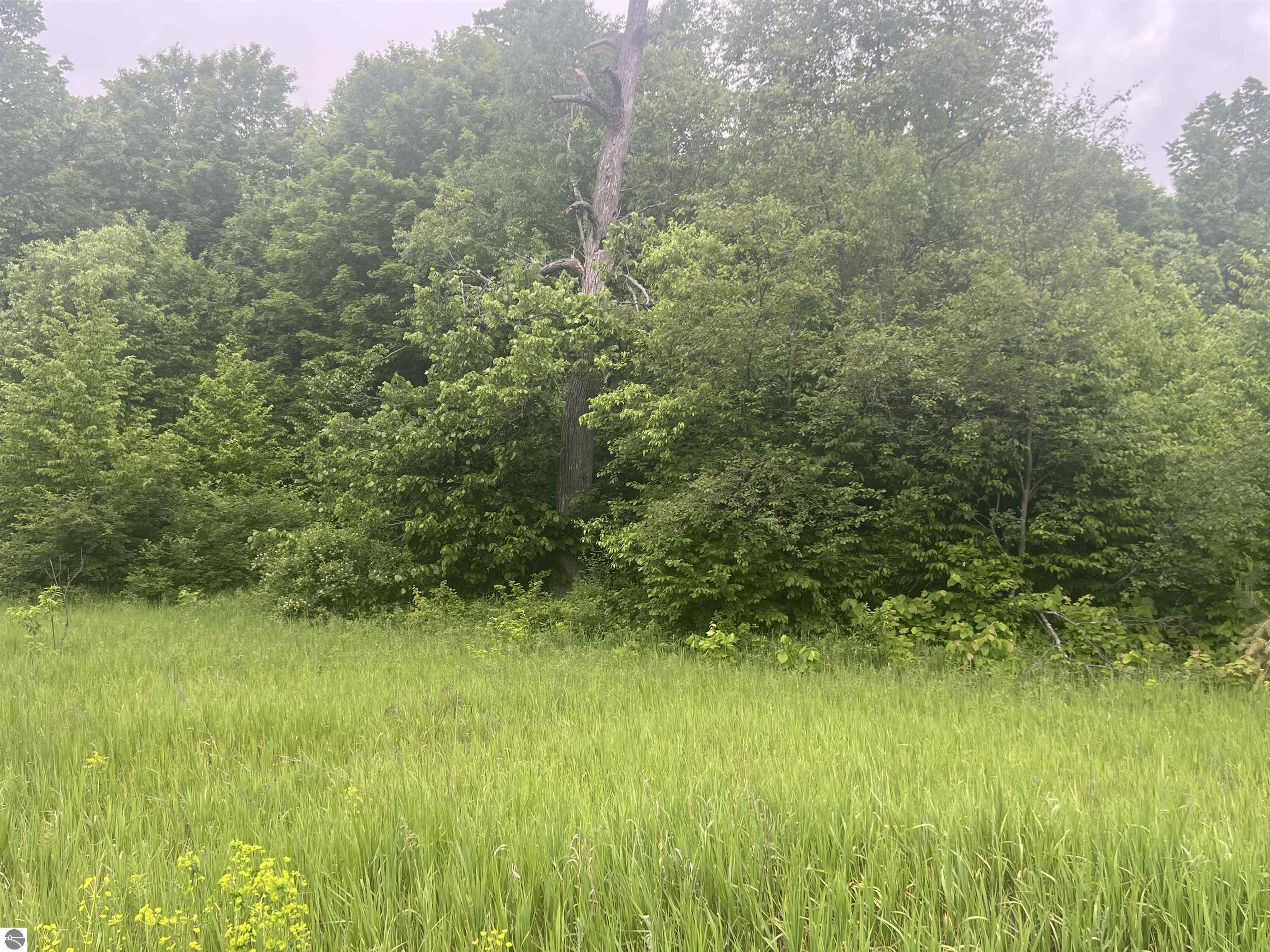 Land in Kalkaska 4