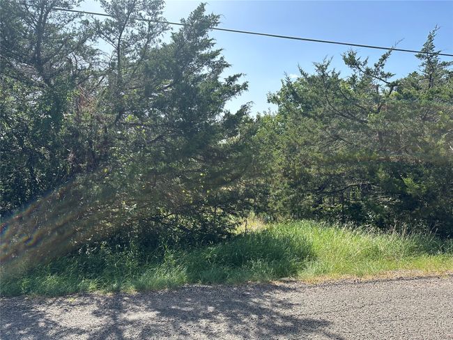 View of wooded area | Image 19