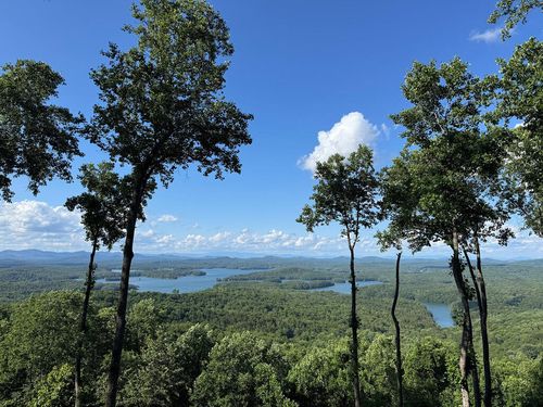 970 Lakeview Dr, Blue Ridge, GA, 30513 | Card Image
