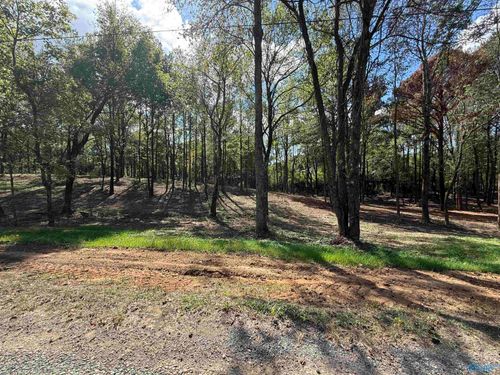 #12A County Road 1123, Vinemont, AL, 35179 | Card Image