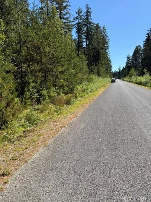 Lot 3 Palmer Rd, Errington, BC, V0R1M0 | Card Image