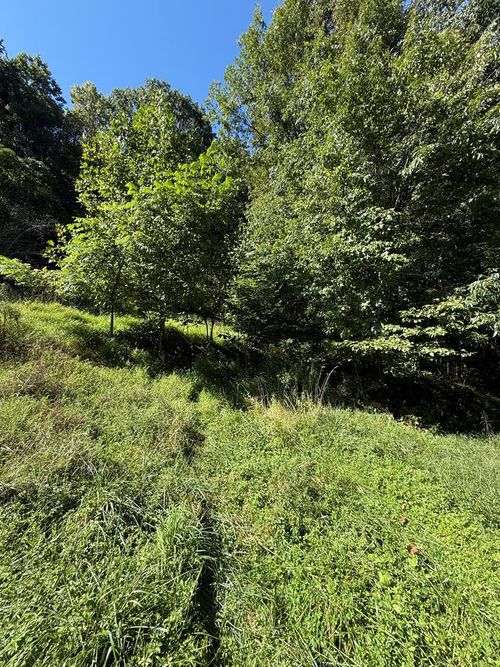 TBD Shuler Hollow Rd, Chilhowie, VA, 24319 | Card Image