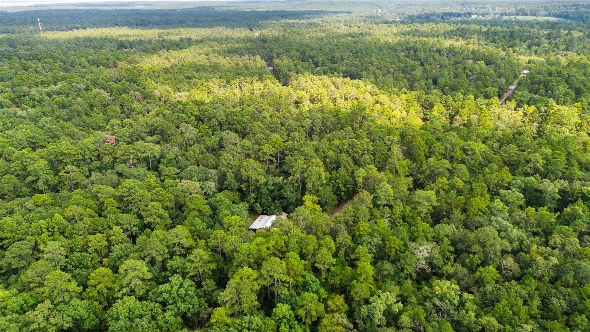 Land in Huntsville 5