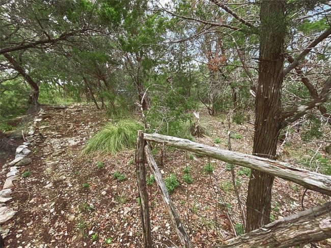 View of landscape featuring a forest view | Image 18