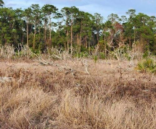 lot-17-17 W Frostproof Rd, Frostproof, FL, 33843-9724 | Card Image