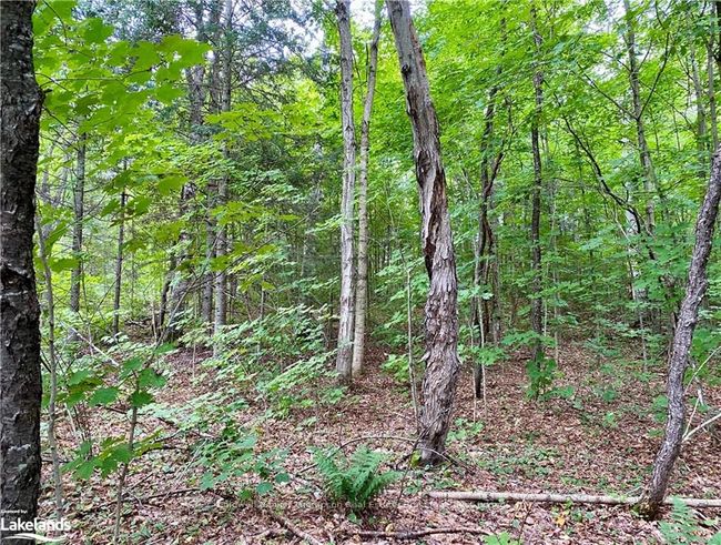 22-A Maple Dr, Home with 0 bedrooms, 0 bathrooms and null parking in Loring ON | Image 27