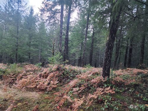 110 Ridge Ln, Packwood, WA, 98361 | Card Image