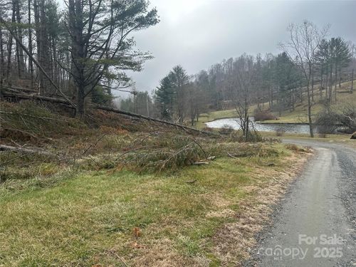 99999 Big Rock Creek Dr, Bakersville, NC, 28705 | Card Image
