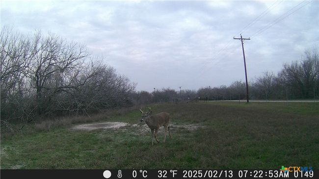 000 Pierce Rd, Home with 0 bedrooms, 0 bathrooms and null parking in Goliad TX | Image 7