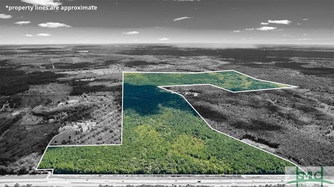 262 Leroy Coffer Highway, Home with 0 bedrooms, 0 bathrooms and null parking in Fleming GA | Image 10