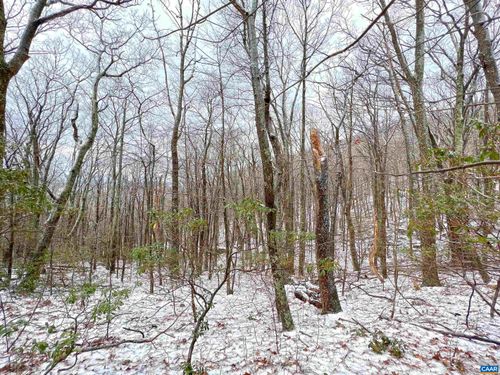 1843 Wintergreen Dr, WINTERGREEN RESORT, VA, 22967-8289 | Card Image