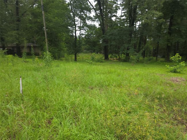 208 Mountain View Dr, Home with 0 bedrooms, 0 bathrooms and null parking in Daingerfield TX | Image 11