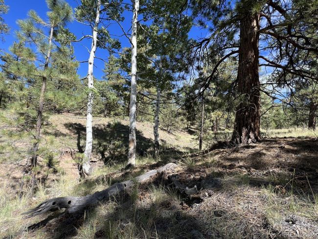 82 Kiowa Cir, Home with 0 bedrooms, 0 bathrooms and null parking in Westcliffe CO | Image 22