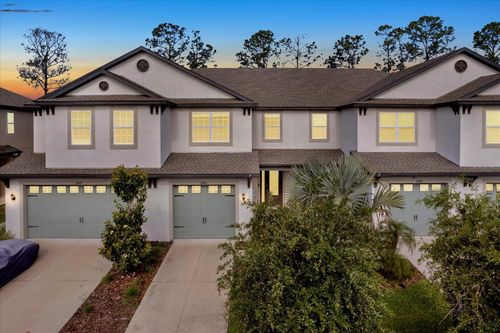 11443 Cay Spruce Way, SAN ANTONIO, FL, 33576-8247 | Card Image