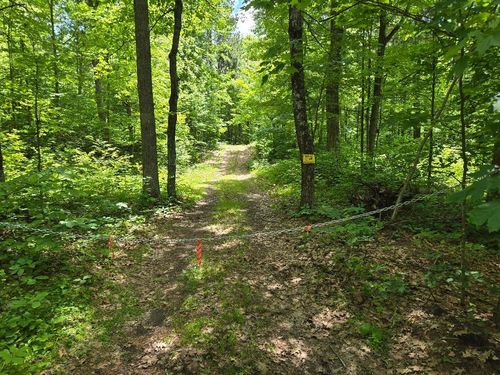 TBD Fs2564d, Remer, MN, 56672 | Card Image