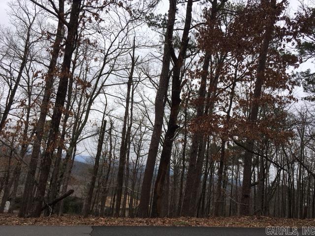 Medina Way, Hot Springs Village, AR 71909 #1