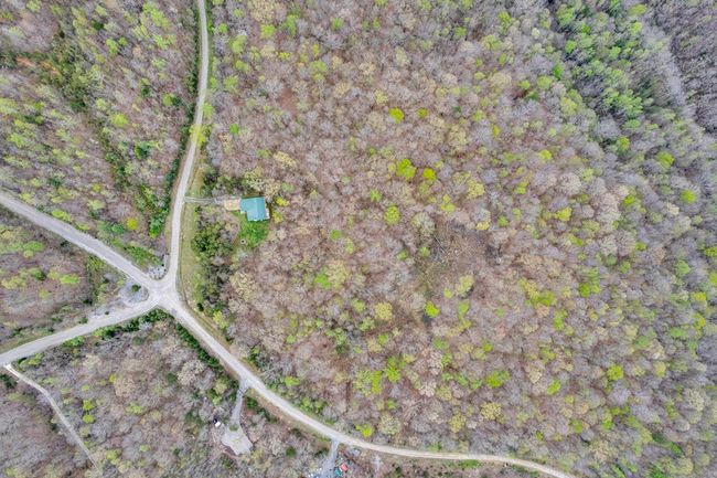 108 W Bobcat Ln, House other with 3 bedrooms, 2 bathrooms and 2 parking in Wilder TN | Image 35