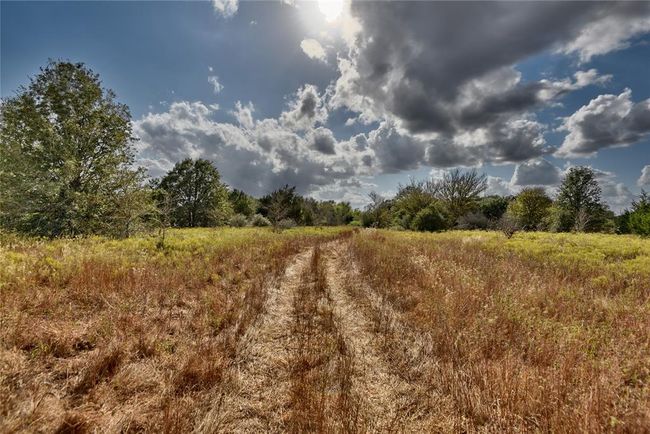 00 - 4233 Opersteny Rd, Home with 0 bedrooms, 0 bathrooms and null parking in Bryan TX | Image 12