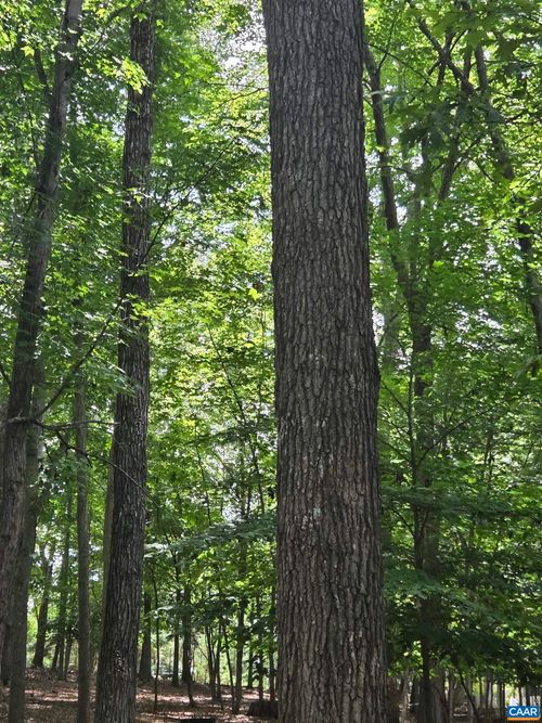 85 Laguna Rd, PALMYRA, VA, 22963 | Card Image