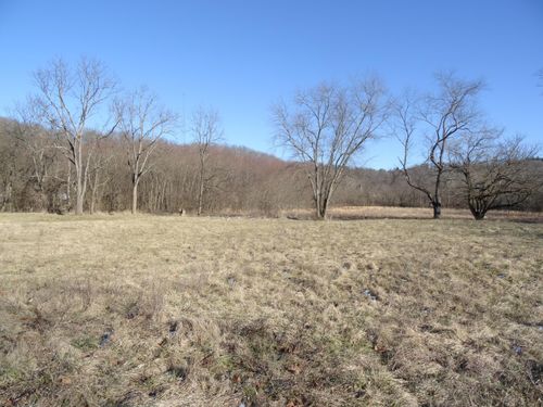 0 Walnut St, Trimble, OH, 45782 | Card Image