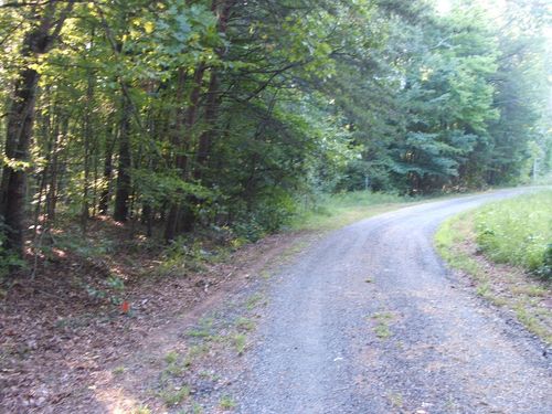 lot-5-319 Whitney Ln, Keysville, VA, 23947-3741 | Card Image