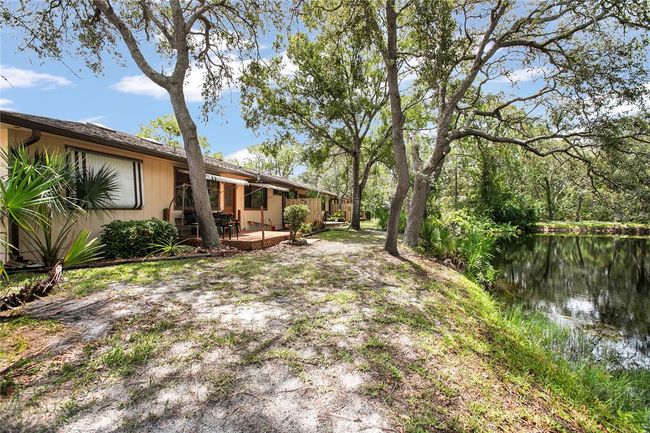 Back Yard | Image 27