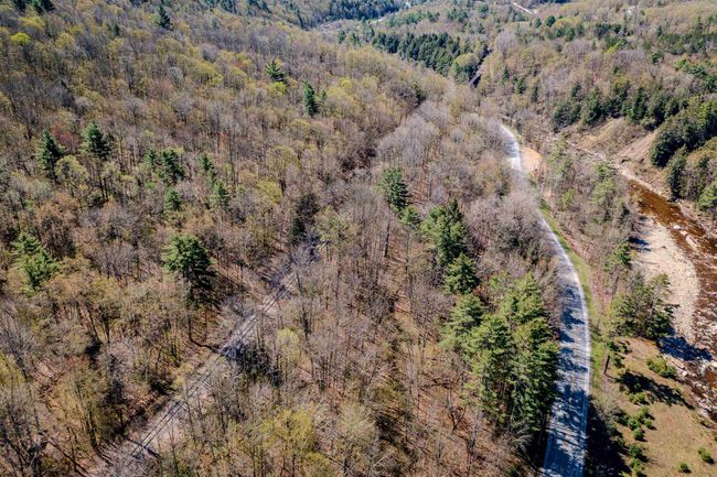 00 Vt Route 103, Home with 0 bedrooms, 0 bathrooms and null parking in Wallingford VT | Image 5
